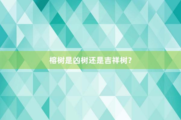 榕树是凶树还是吉祥树？