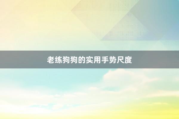 老练狗狗的实用手势尺度