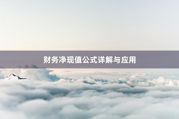 财务净现值公式详解与应用